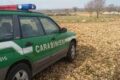 Pozzuoli-Giugliano in Campania: Abbandona il suo cagnolino in un’area di servizio. Carabinieri forestali denunciano 56enne