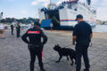 ISCHIA: Controlli dei Carabinieri sull'isola. Focus sul porto turistico. 5 persone denunciate