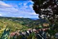 Cosentini: Il Tesoro Nascosto del Cilento Che Ti Farà Innamorare :Un Borgo da Fiaba Tra Mare e Montagne