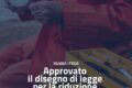 Filiera ittica sostenibile: la Giunta regionale approva il disegno di legge per la riduzione del polistirene