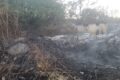 GRUMO NEVANO. Prendono fuoco le sterpaglie allo svincolo dell’asse mediano, L’incendio di vaste proporzioni è stato domato dai vigili del fuoco.