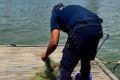 CASTEL VOLTURNO. CONTRASTO PESCA ILLEGALE. NUOVA OPERAZIONE DELLA POLIZIA PROVINCIALE DI CASERTA