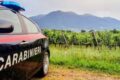 Caporalato a Giugliano, due imprenditori arrestati: braccianti sfruttati fino a 14 ore al giorno per 3 euro l'ora