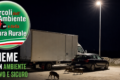 Cinghiali in Cilento , i Circoli dell’Ambiente: “Necessario un intervento per tutelare cittadini e fauna selvatica”