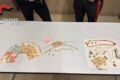 Da Frattamaggiore a Macerata per truffare anziani, in due finiscono nei guai